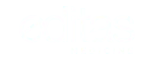 捷报比分